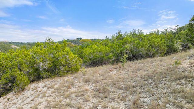 19718 Fig Bluff LN, Spicewood, TX 78669