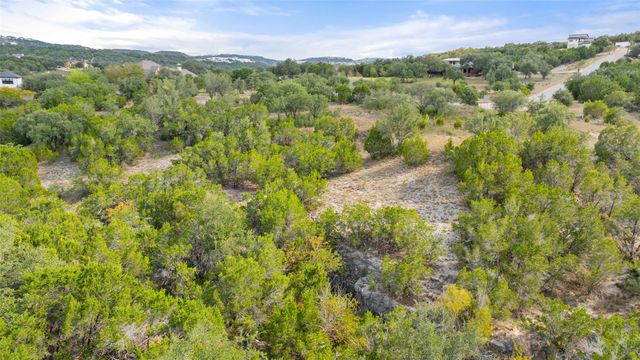 19718 Fig Bluff LN, Spicewood, TX 78669