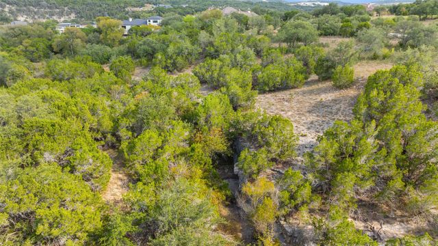 19718 Fig Bluff LN, Spicewood, TX 78669