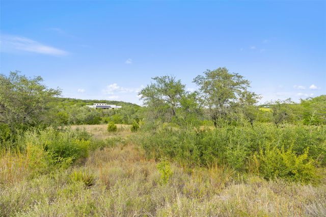 19718 Fig Bluff LN, Spicewood, TX 78669