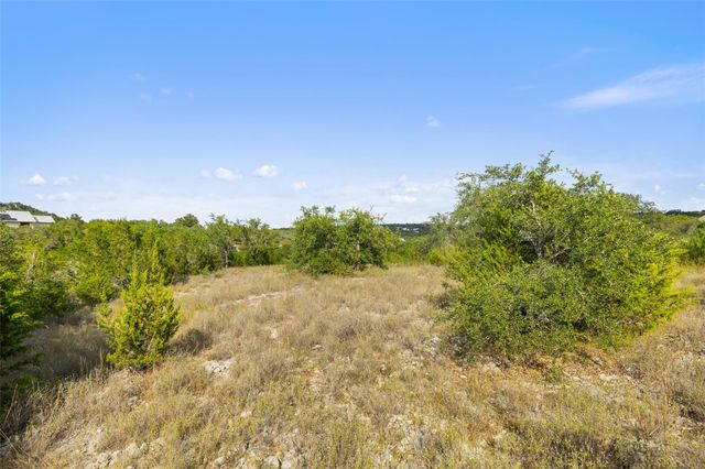 19718 Fig Bluff LN, Spicewood, TX 78669