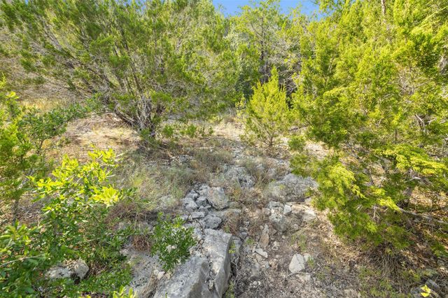 19718 Fig Bluff LN, Spicewood, TX 78669