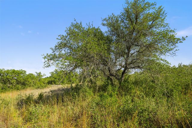 19718 Fig Bluff LN, Spicewood, TX 78669