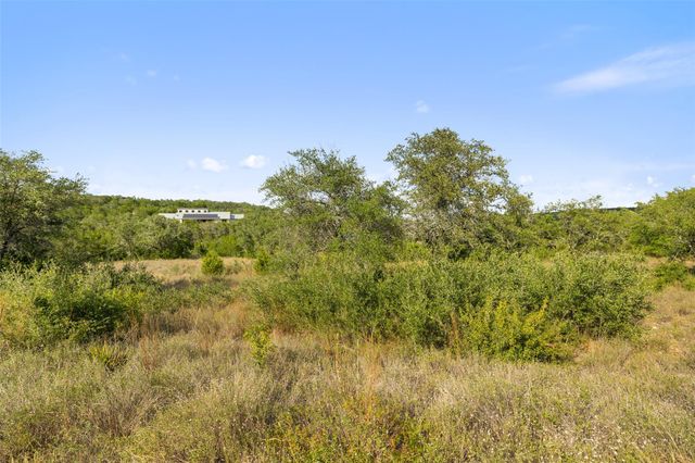 19718 Fig Bluff LN, Spicewood, TX 78669