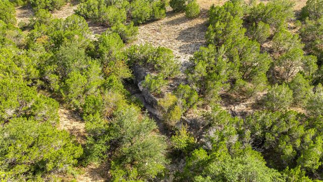 19718 Fig Bluff LN, Spicewood, TX 78669