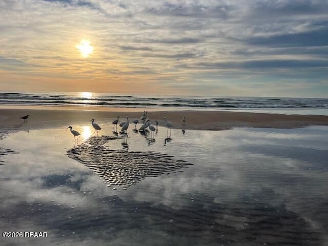 2625 S Atlantic Ave Apt 6SW, Daytona Beach Shores, FL 32118