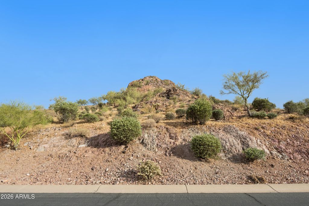 4845 S AVENIDA CORAZON DE ORO Drive 5, Gold Canyon, AZ 85118 — photo 5