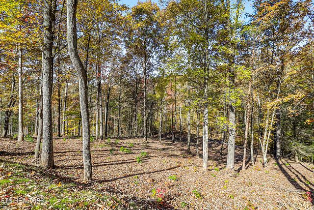 3201 Ballplay Rd, Madisonville, TN 37354