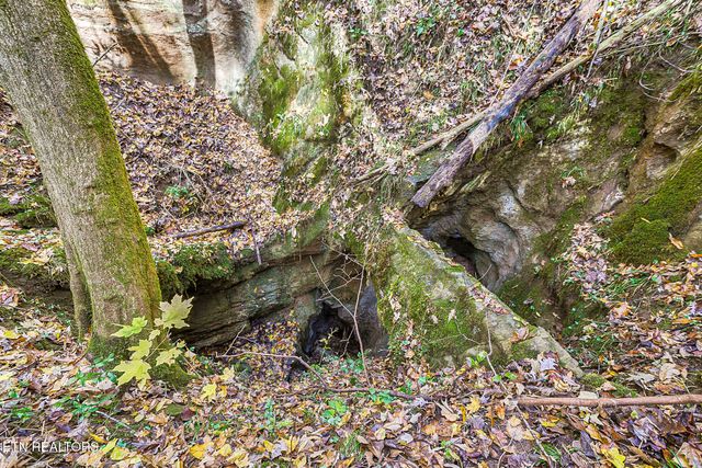 3201 Ballplay Rd, Madisonville, TN 37354