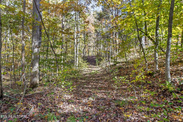 3201 Ballplay Rd, Madisonville, TN 37354