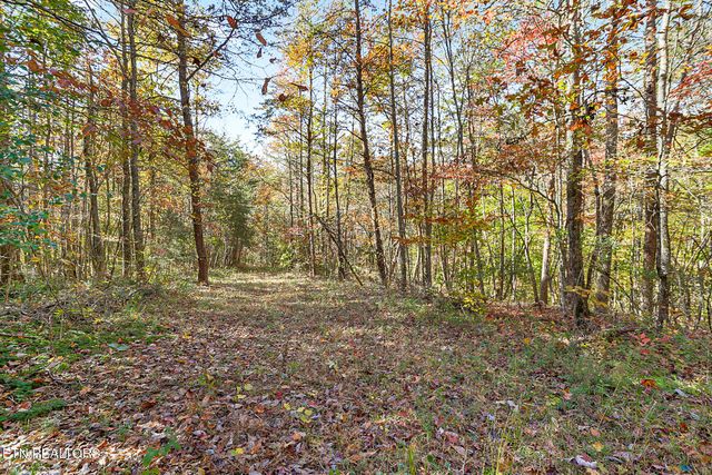 3201 Ballplay Rd, Madisonville, TN 37354