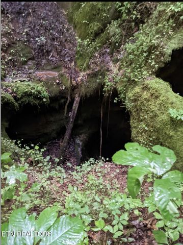 3201 Ballplay Rd, Madisonville, TN 37354