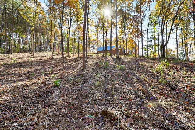 3201 Ballplay Rd, Madisonville, TN 37354