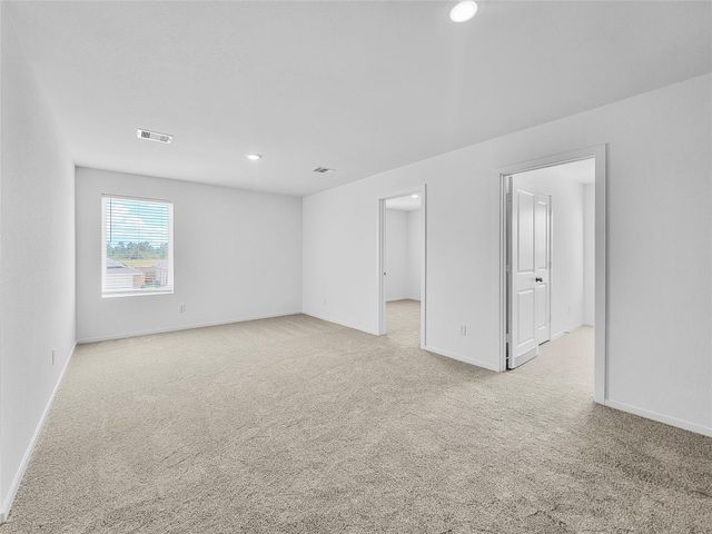 273 Douglas Hills Drive, Magnolia, TX 77354