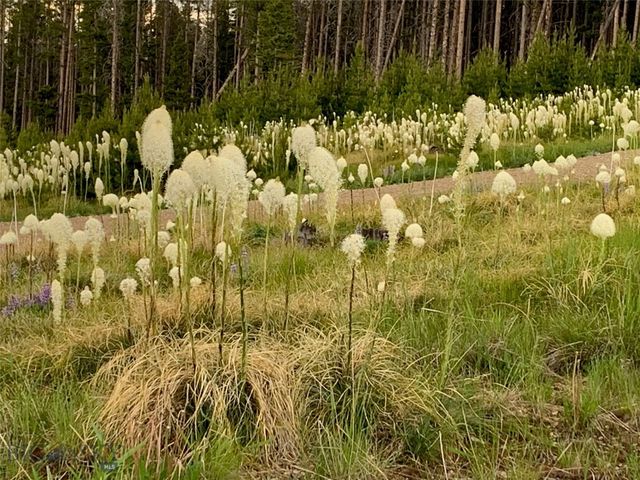 105 Damsel Lane, Anaconda, MT 59711