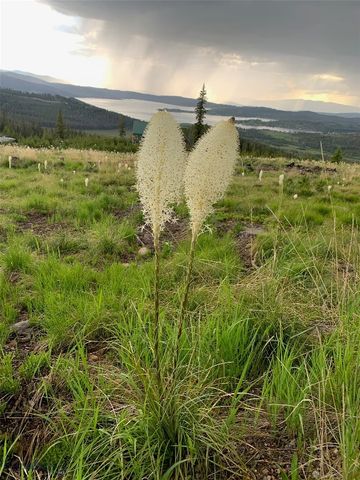 105 Damsel Lane, Anaconda, MT 59711