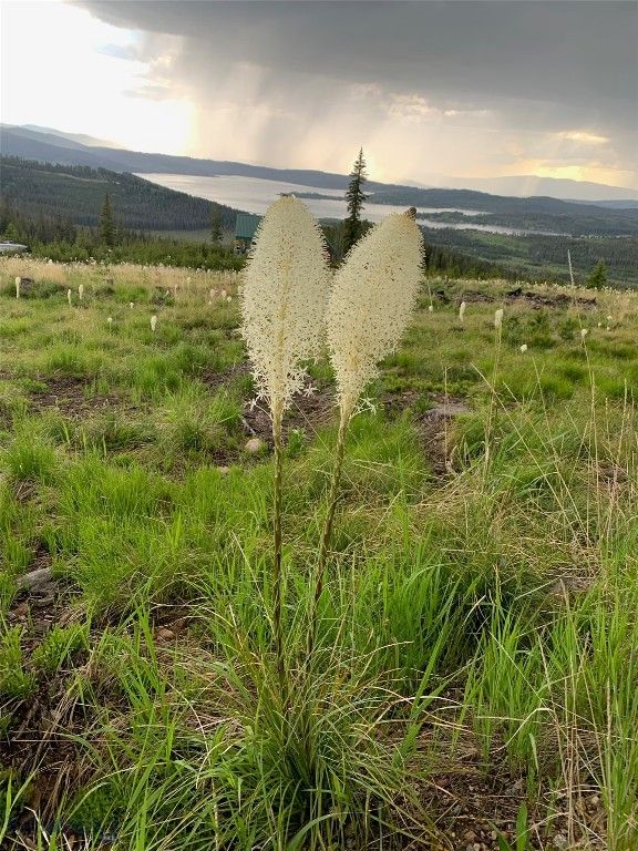 105 Damsel Lane, Anaconda, MT 59711 photo 62