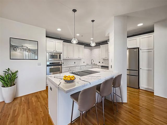 1005 S Shepherd Drive 210, Houston, TX 77019