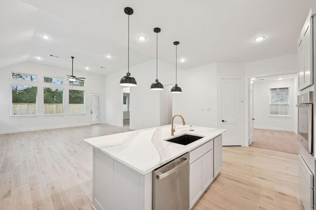 26022 S Outrider Banks, Montgomery, TX 77316