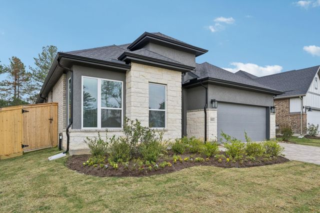 26022 S Outrider Banks, Montgomery, TX 77316