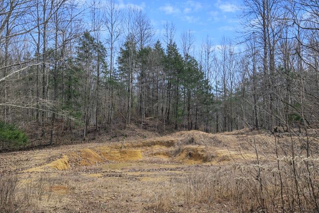 0 Tracy Ln, Duck River, TN 38454