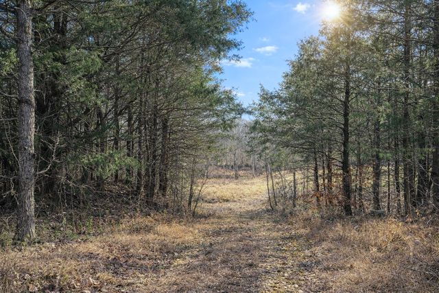 0 Tracy Ln, Duck River, TN 38454