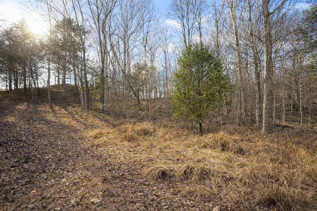 0 Tracy Ln, Duck River, TN 38454