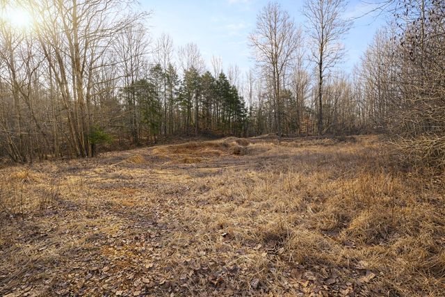 0 Tracy Ln, Duck River, TN 38454