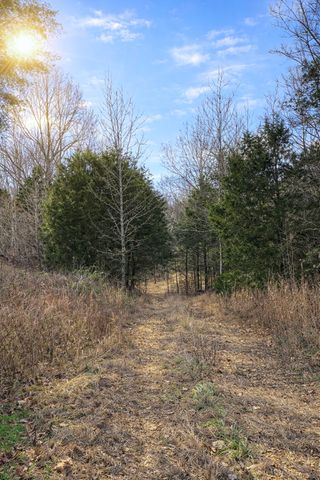 0 Tracy Ln, Duck River, TN 38454