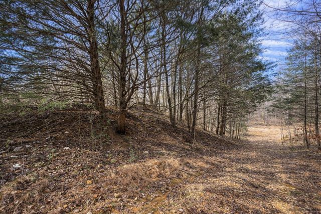 0 Tracy Ln, Duck River, TN 38454