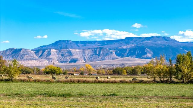 510 Desert Peach Street, Clifton, CO 81520