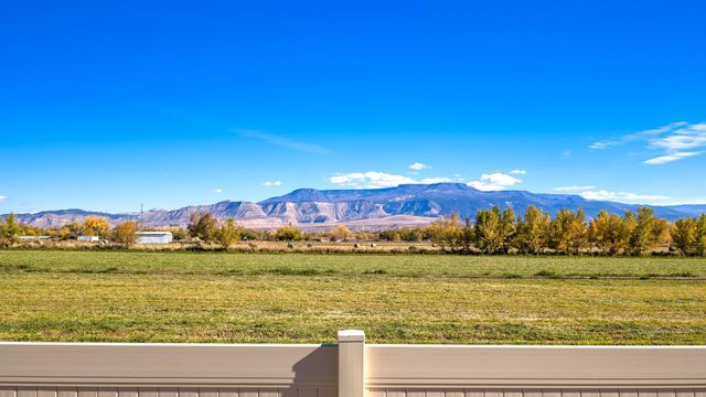 510 Desert Peach Street, Clifton, CO 81520