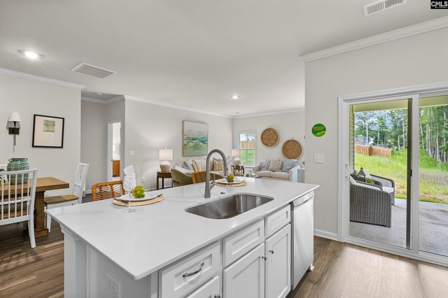 152 Calm Citadel Drive, Pelion, SC 29123