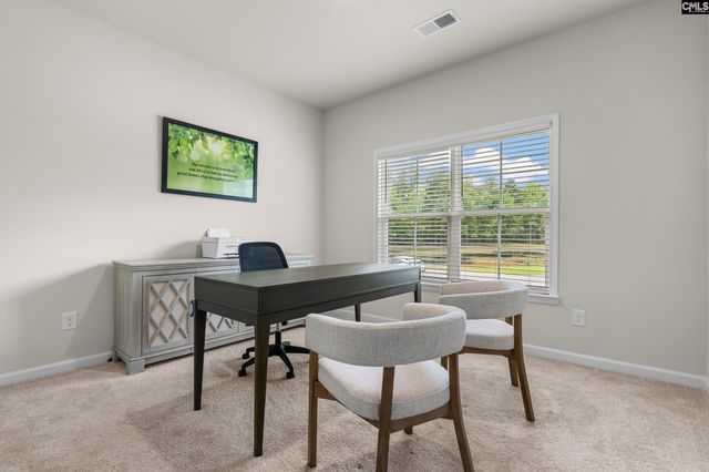 152 Calm Citadel Drive, Pelion, SC 29123
