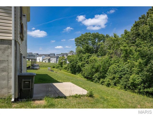 255 Winding Bluffs Court, Fenton, MO 63026