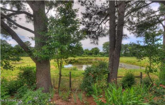 9389 Bryant Trent Boulevard, Olive Branch, MS 38654