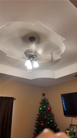 191 Teodora Drive, Rio Grande City, TX 78582