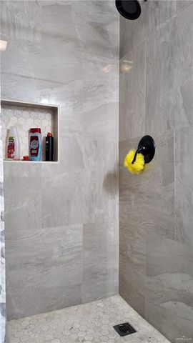 191 Teodora Drive, Rio Grande City, TX 78582