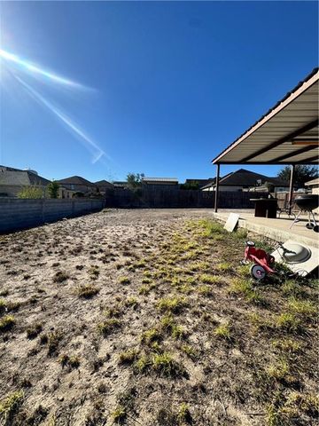 191 Teodora Drive, Rio Grande City, TX 78582