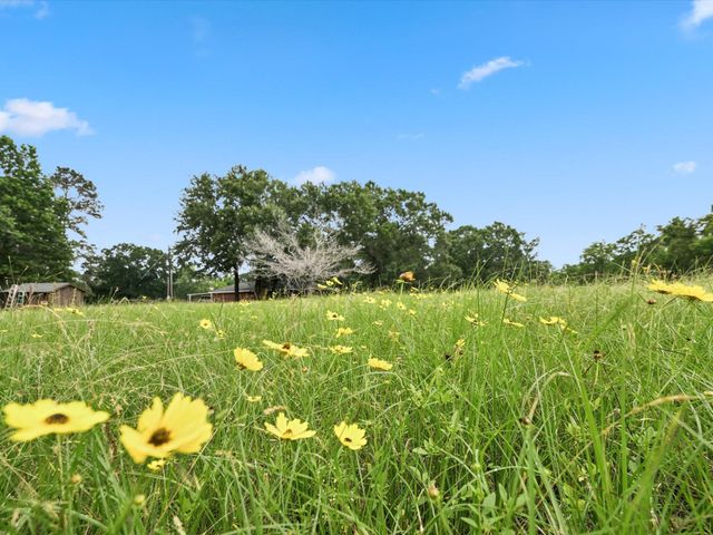 26523 Dobbin Huffsmith Road, Magnolia, TX 77354
