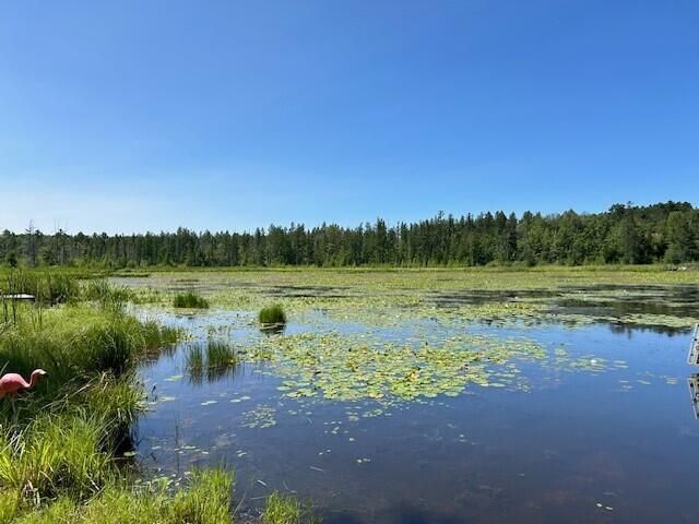 8444 Mast DRIVE, Minocqua, WI 54548