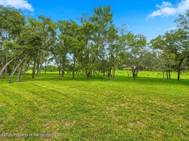 11064 Westerly Drive, Spring Hill, FL 34609