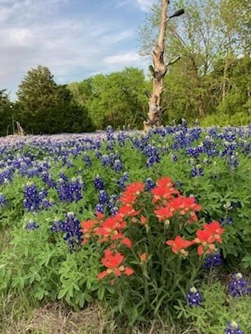 821 Ewing Road, Ferris, TX 75125