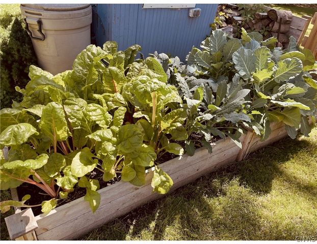 109 Allen Street, Dewitt, NY 13057