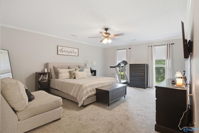 2406 Auburn Drive SW, Decatur, AL 35603