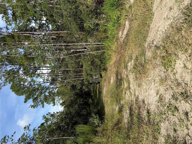 10TH AVENUE, Deland, FL 32724
