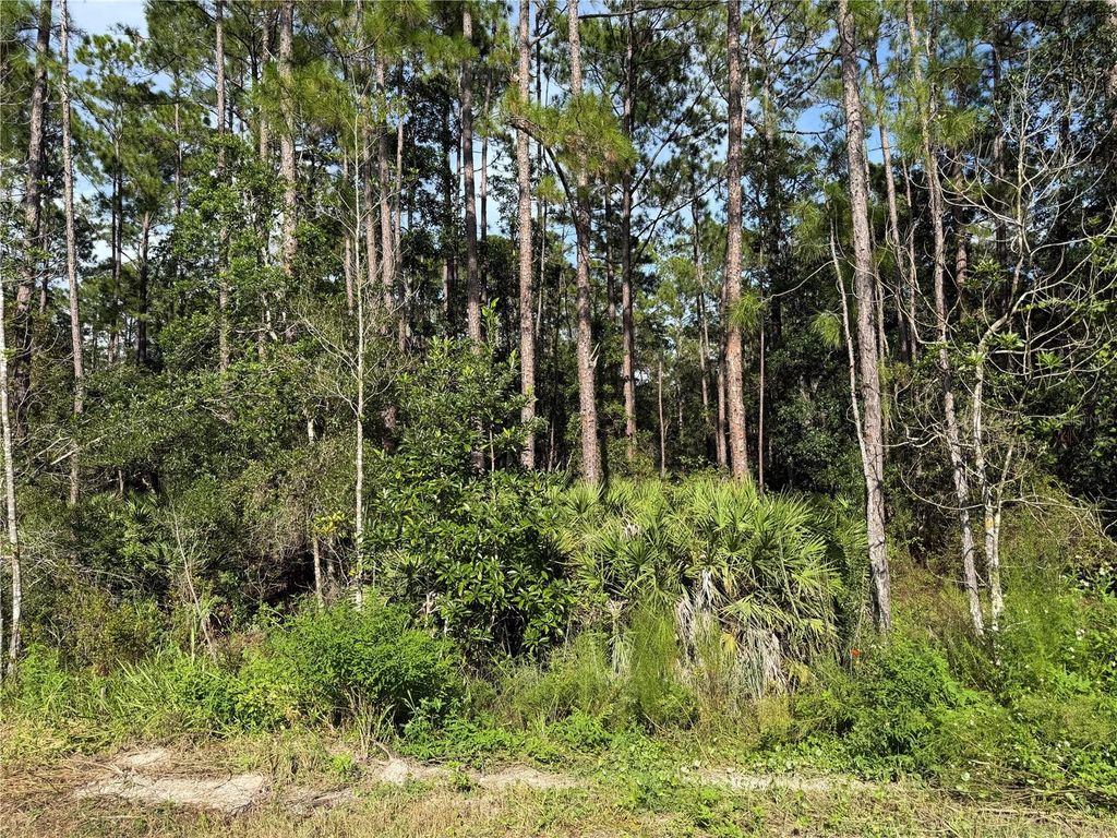 10TH AVENUE, Deland, FL 32724