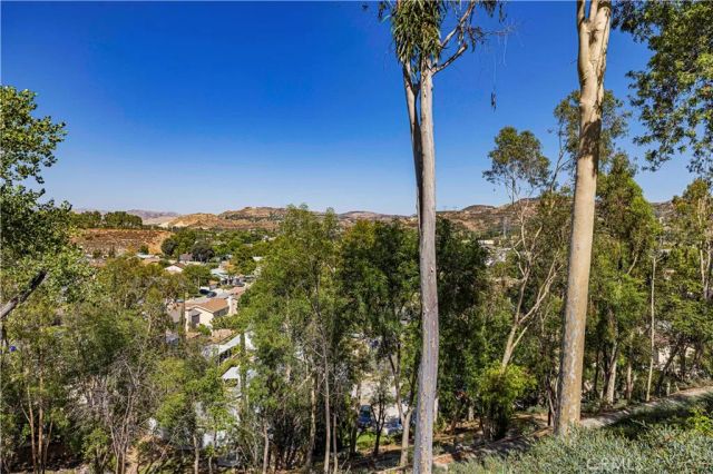 21816 Peppercorn, Saugus, CA 91350