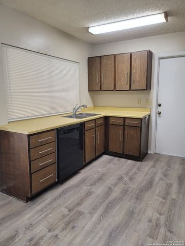 10807 Green Brook, San Antonio, TX 78223