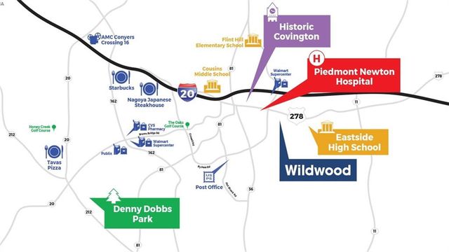 13274 Tolstoy Lane, Covington, GA 30014